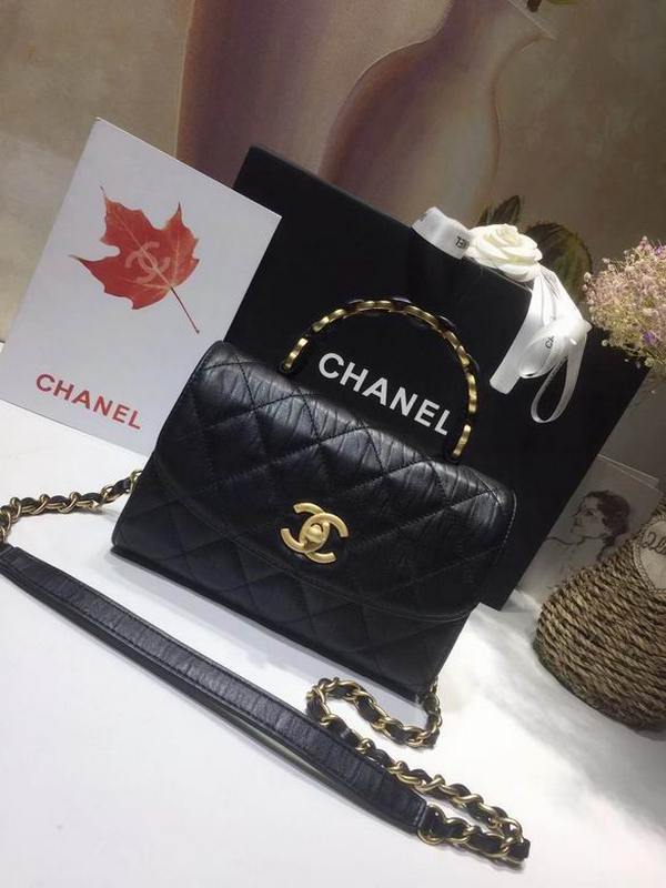 Chanel Handbags 112